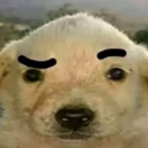 Meet your Posher, Trevor